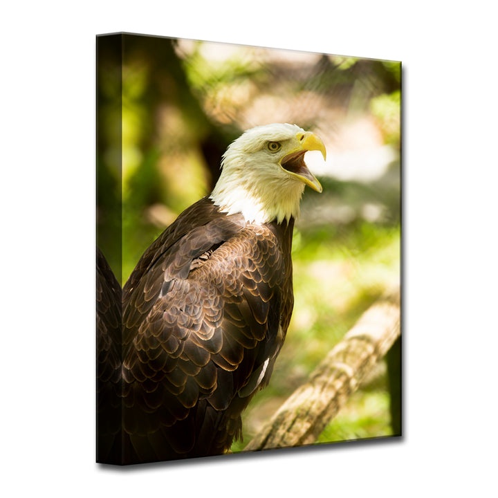 Resounding Call' Wrapped Canvas Wall Art