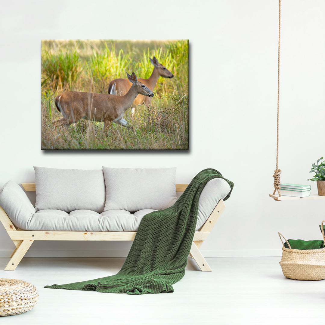 Paired Grace' Wrapped Canvas Wall Art