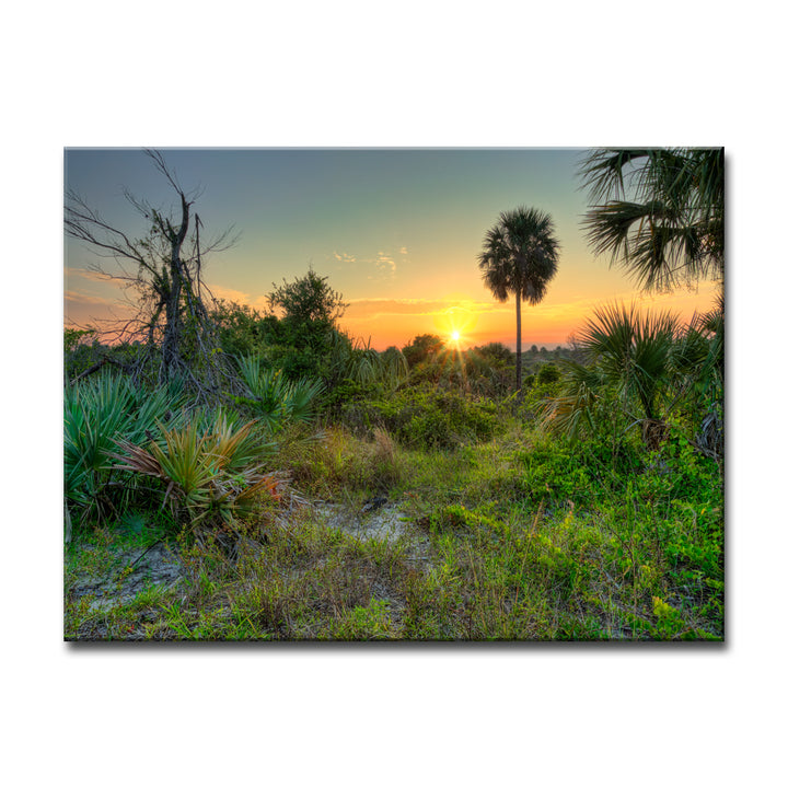 Bittersweet' Wrapped Canvas Wall Art