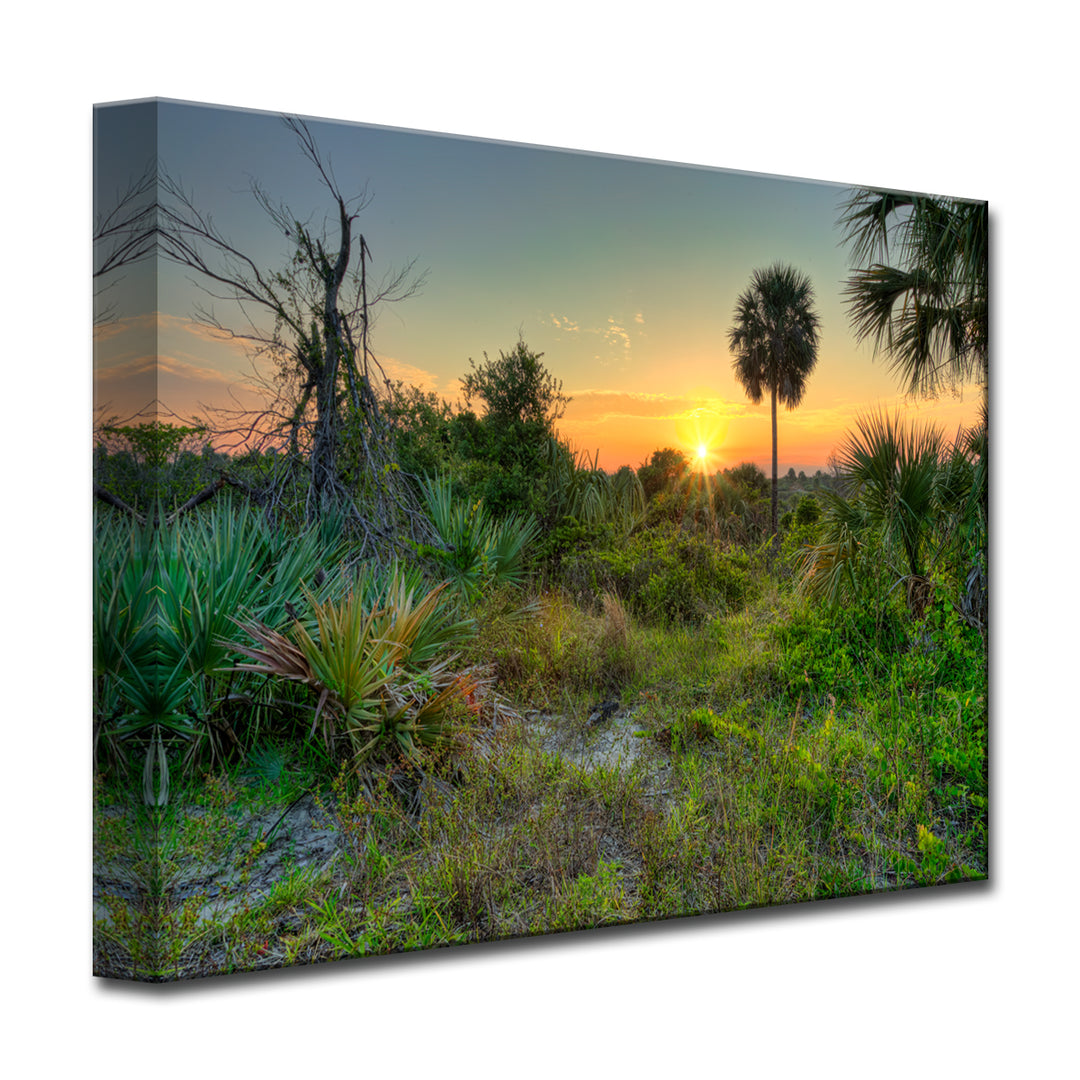 Bittersweet' Wrapped Canvas Wall Art