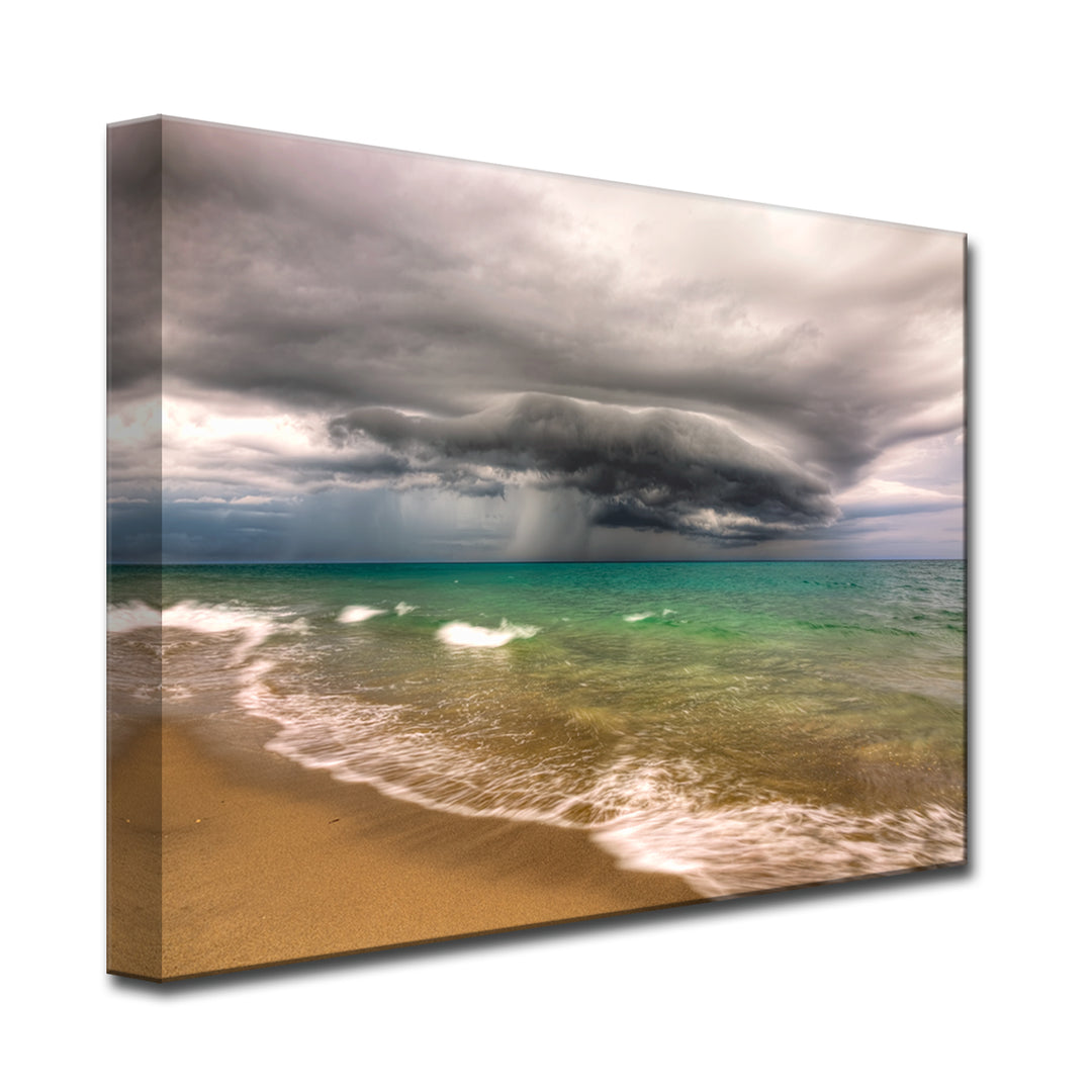 Looming Fury' Wrapped Canvas Wall Art