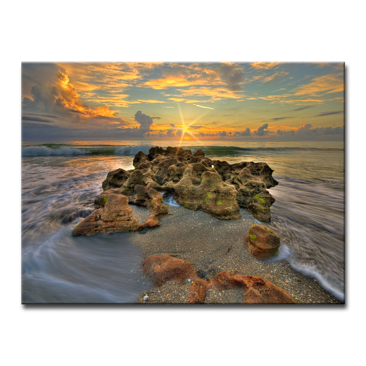 Spellbound' Wrapped Canvas Wall Art