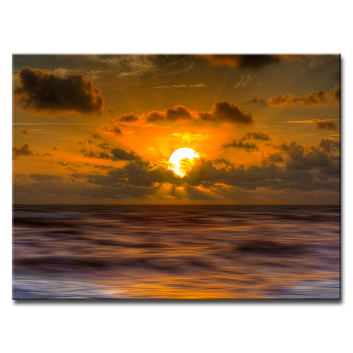 Magnetized Splendor' Wrapped Canvas Wall Art