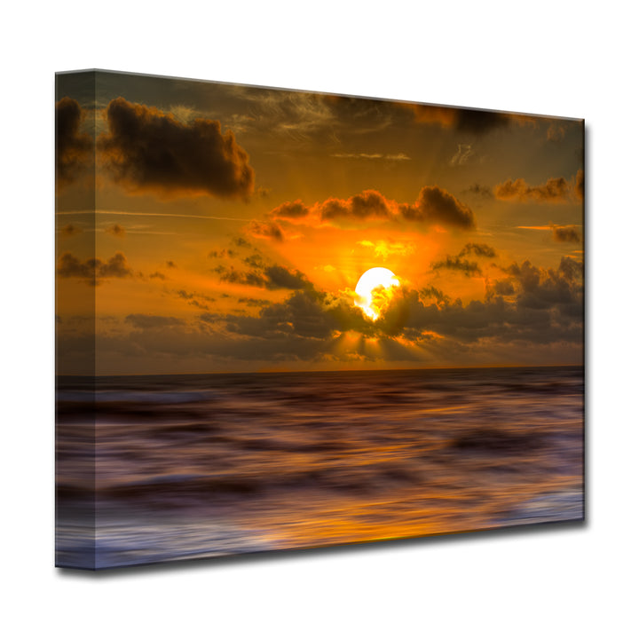 Magnetized Splendor' Wrapped Canvas Wall Art