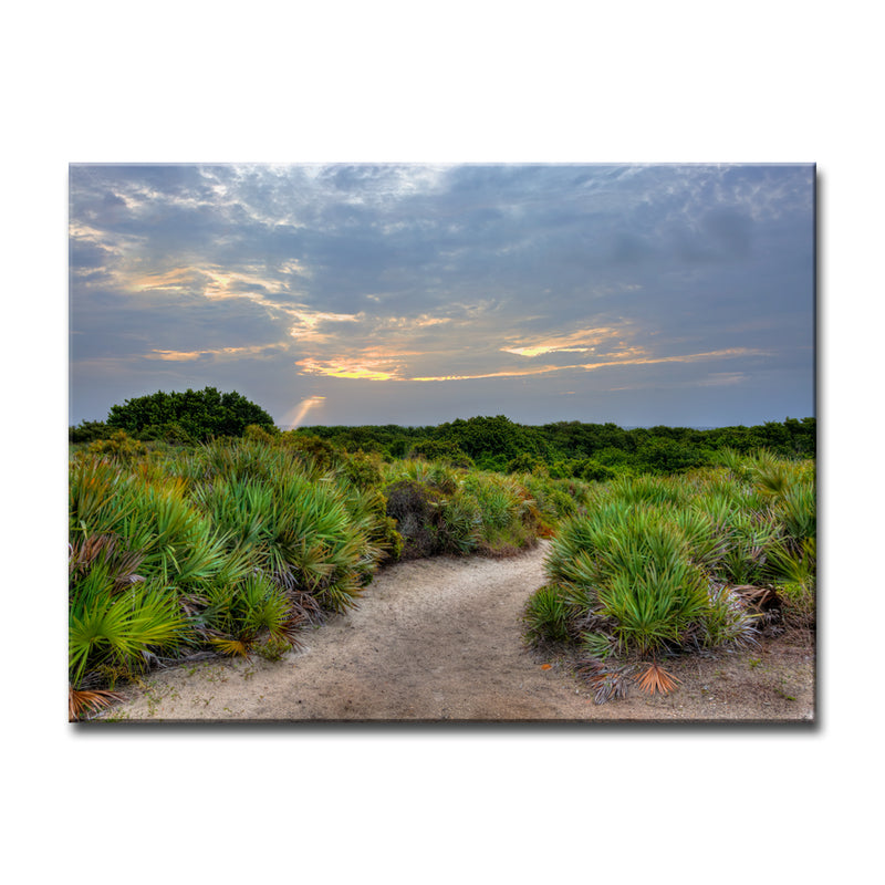 Palmetto Trail' Wrapped Canvas Wall Art