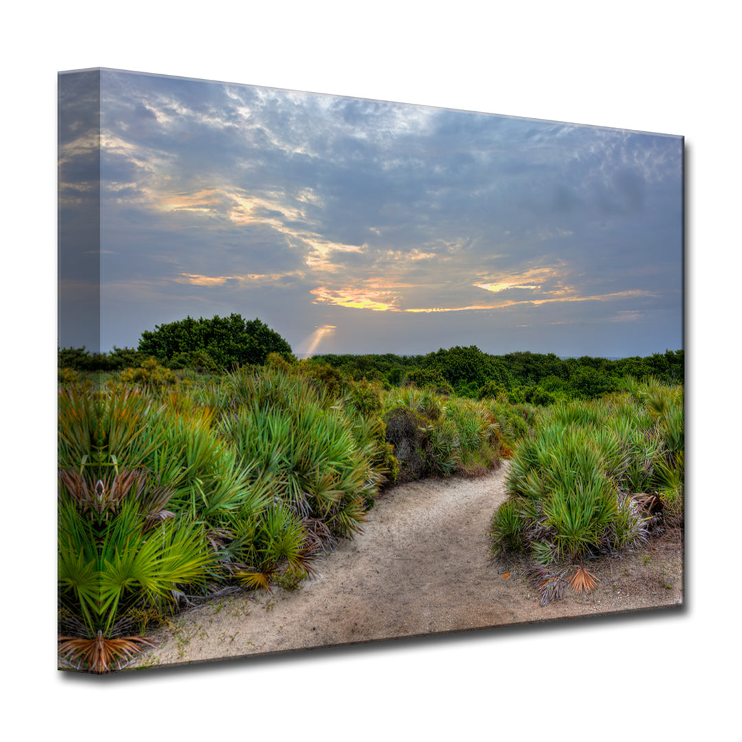 Palmetto Trail' Wrapped Canvas Wall Art