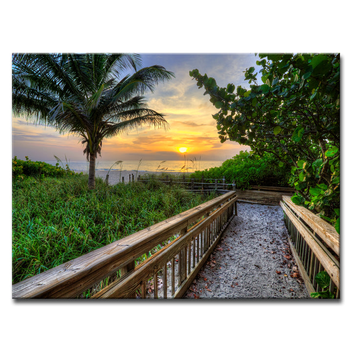 Golden Ascent' Wrapped Canvas Wall Art