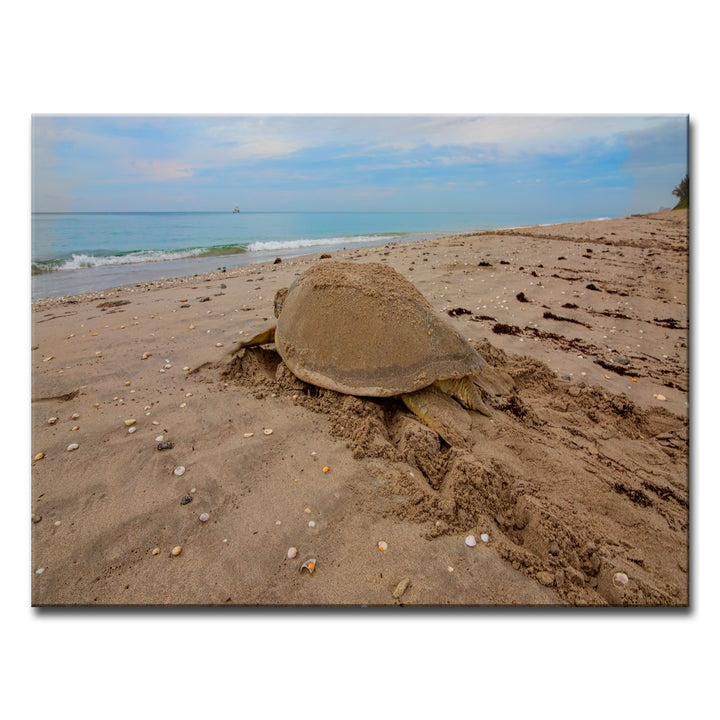 Turquoise Descent' Wrapped Canvas Wall Art