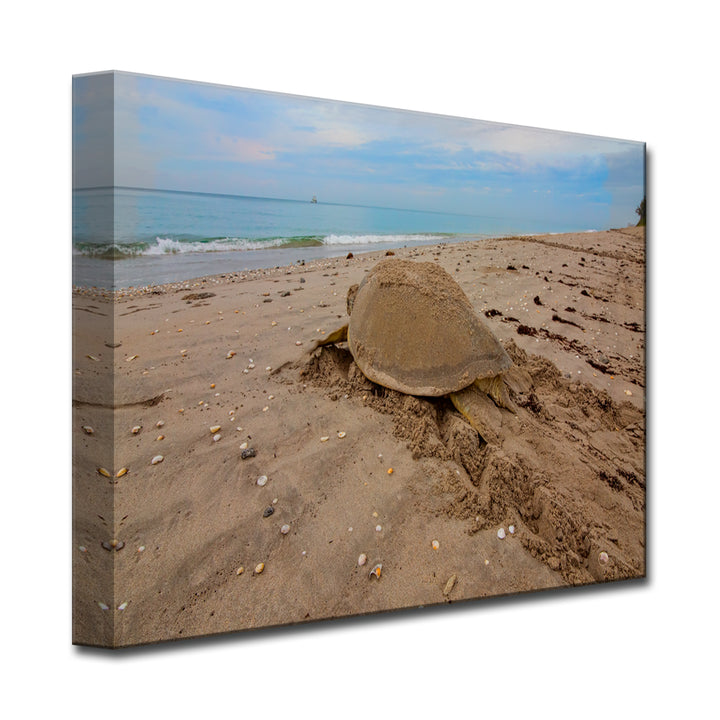 Turquoise Descent' Wrapped Canvas Wall Art