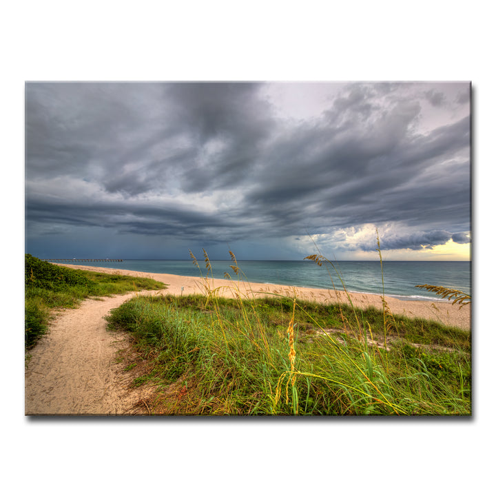 Wild Allure' Wrapped Canvas Wall Art