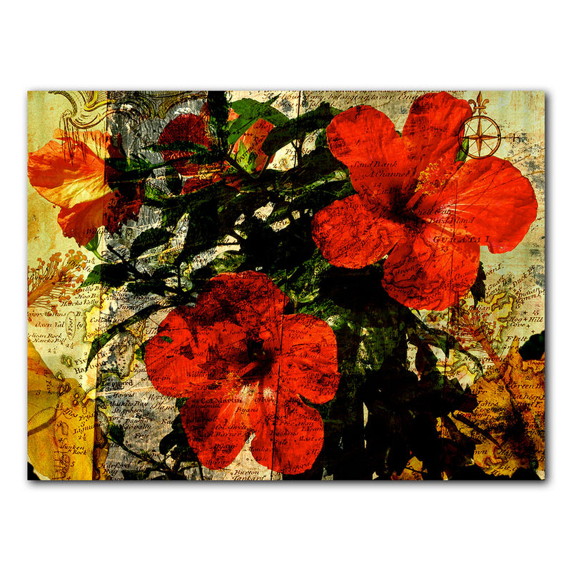 'Tropical Hibiscus' Wrapped Canvas Wall Art