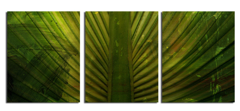 Palms' 3 Piece Wrapped Canvas Wall Art Set