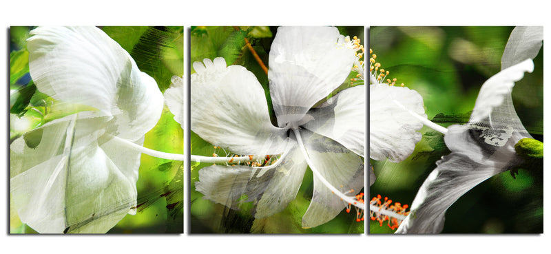 White Floral Study' 3 Piece Wrapped Canvas Wall Art Set
