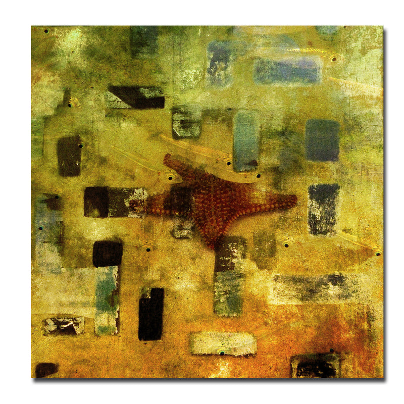 Abstract Star Fish' Wrapped Canvas Wall Art