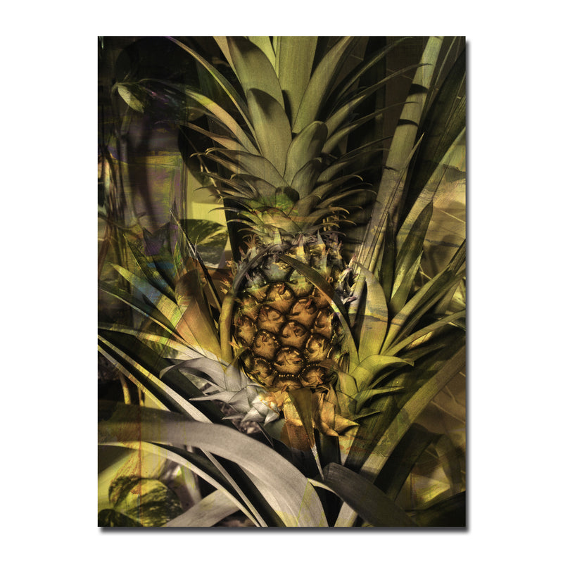 Pineapple Abstraction' Wrapped Canvas Wall Art