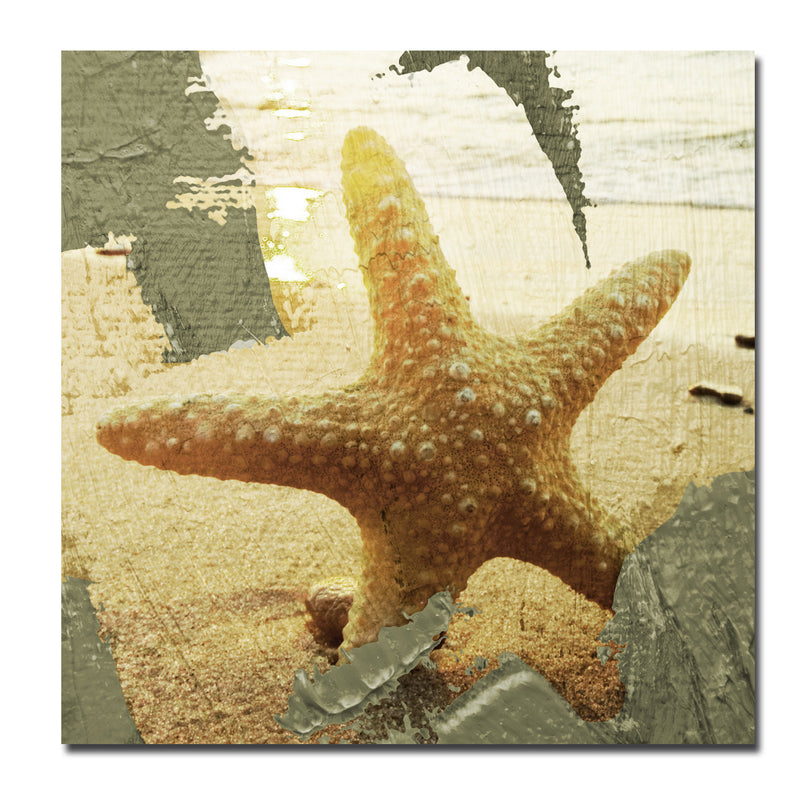 Star Struck' Wrapped Canvas Wall Art