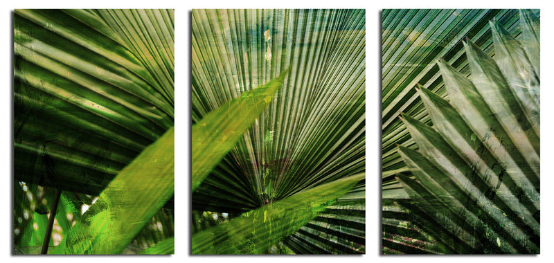 Green Palm' 3 Piece Wrapped Canvas Wall Art Set