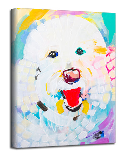Colorburst Bichon' Wrapped Canvas Wall Art