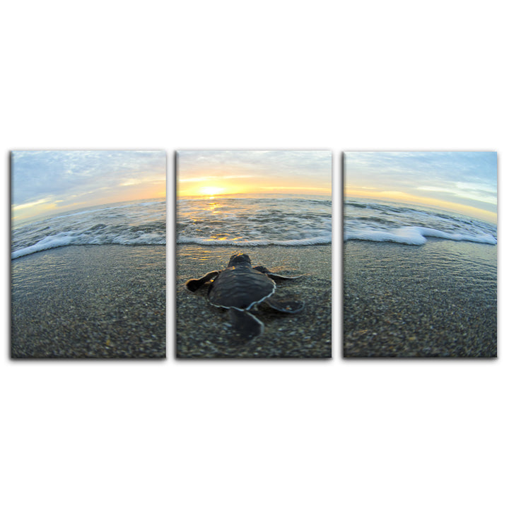 'Turtle' 3-Piece Wrapped Canvas Wall Art Set