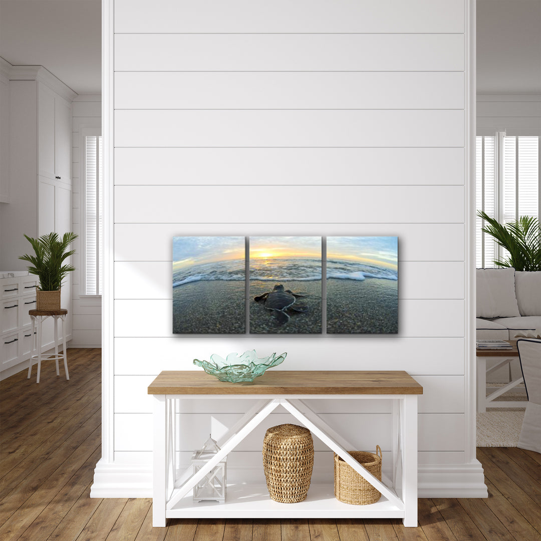 'Turtle' 3-Piece Wrapped Canvas Wall Art Set