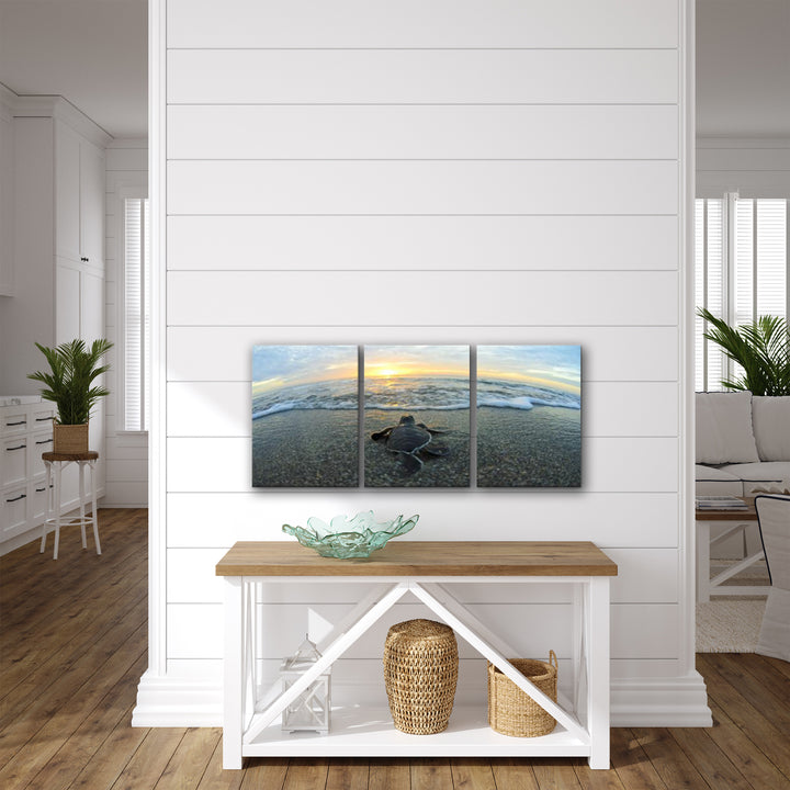 'Turtle' 3-Piece Wrapped Canvas Wall Art Set
