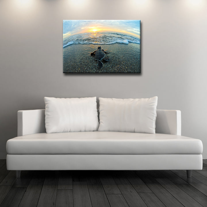 Turtle' ArtPlexi by Ready2HangArt