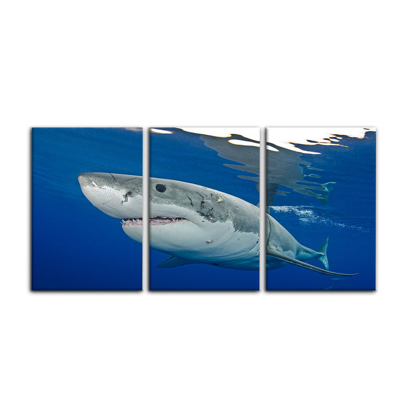 'Shark' 3-Piece Wrapped Canvas Wall Art Set