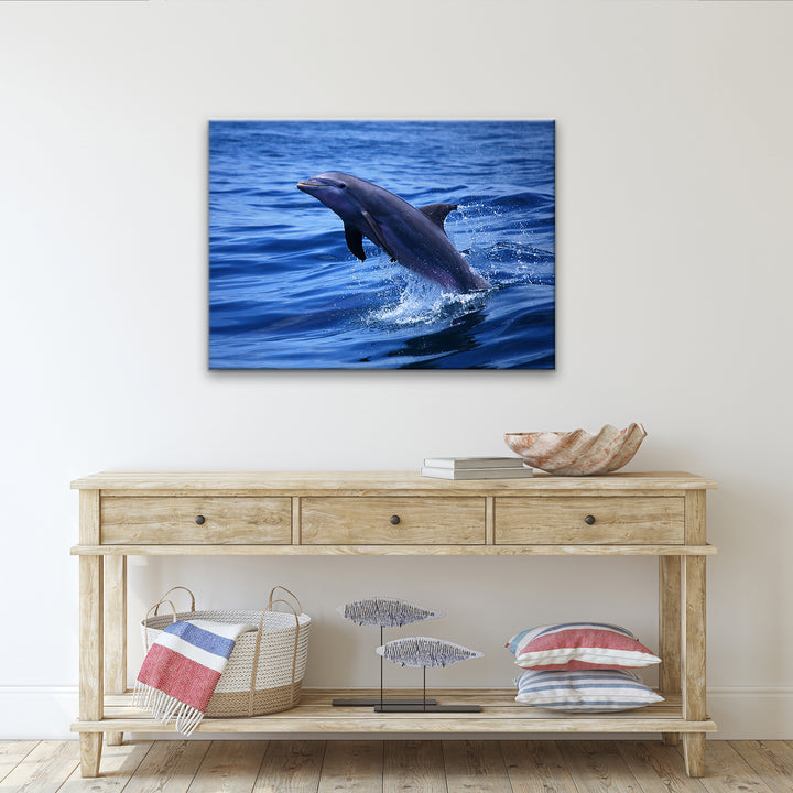 'Dolphin' Wrapped Canvas Wall Art