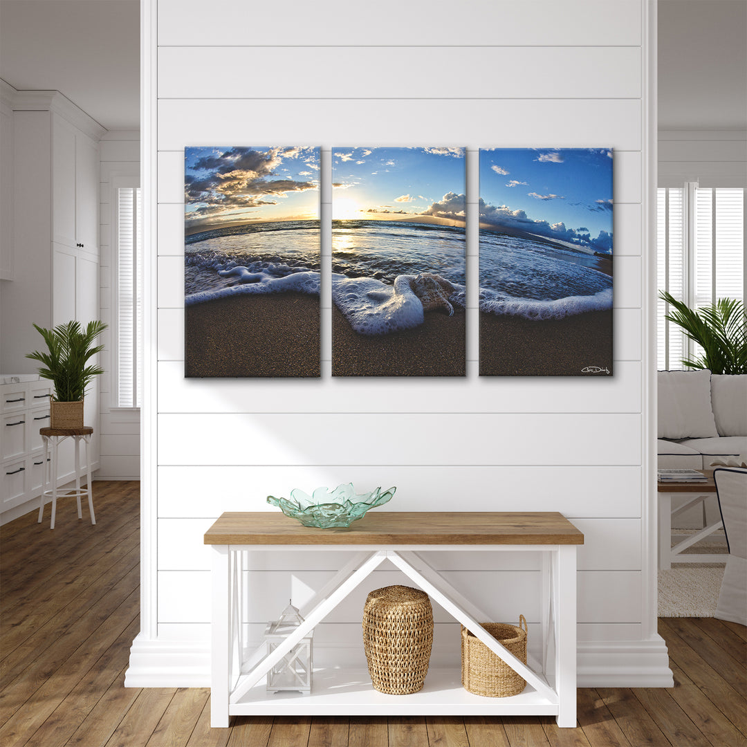 'Sea Star' Wrapped Canvas Wall Art