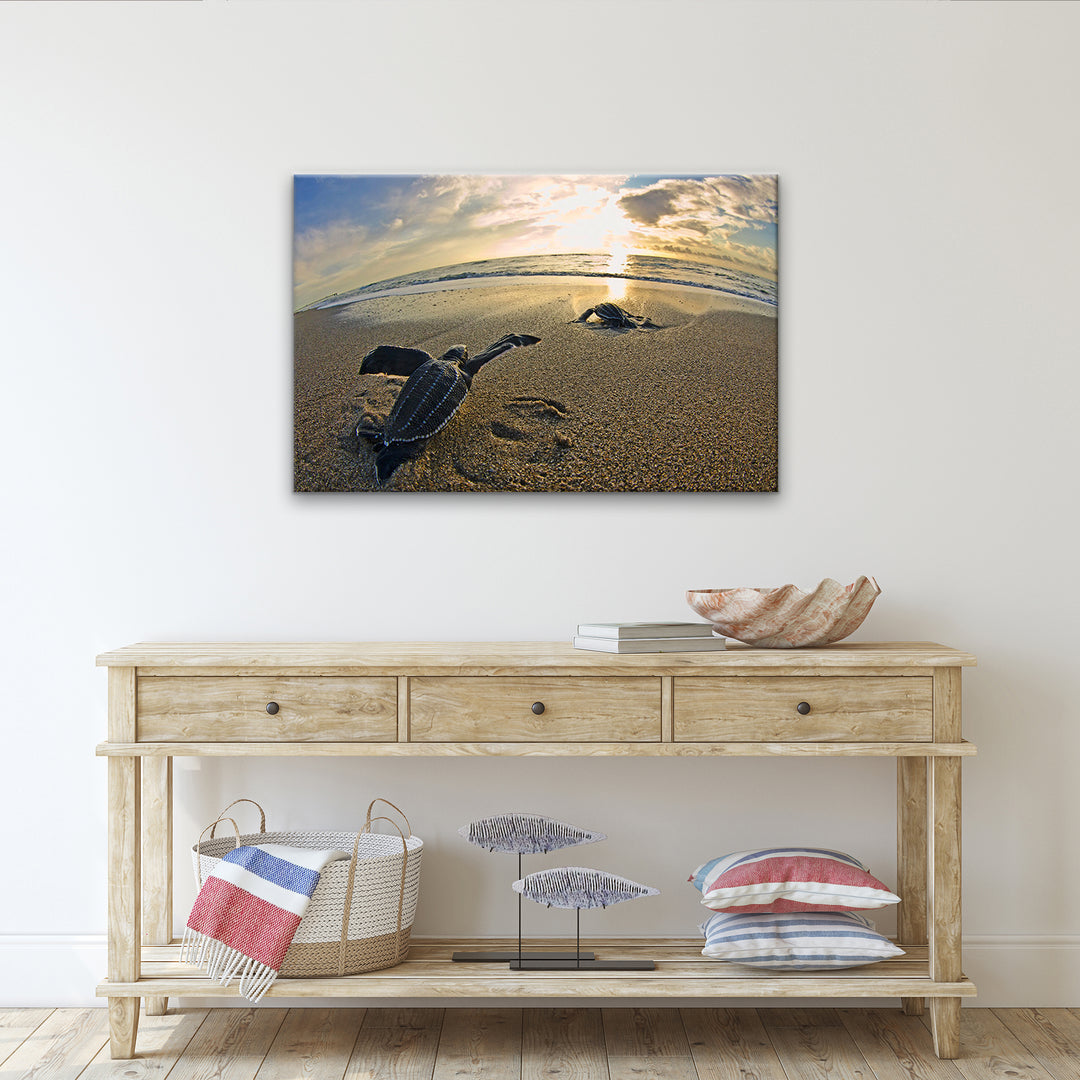 'Leatherback' Wrapped Canvas Wall Art
