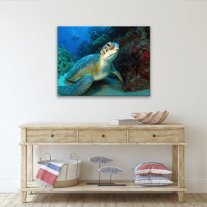 'Turtle' Wrapped Canvas Wall Art