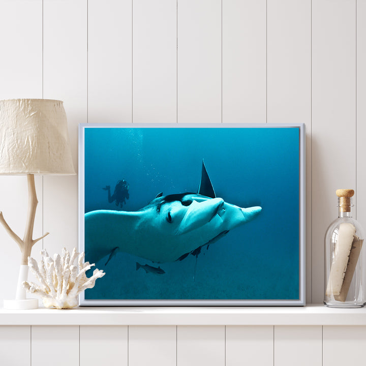 'Ray' Framed Canvas Wall Art