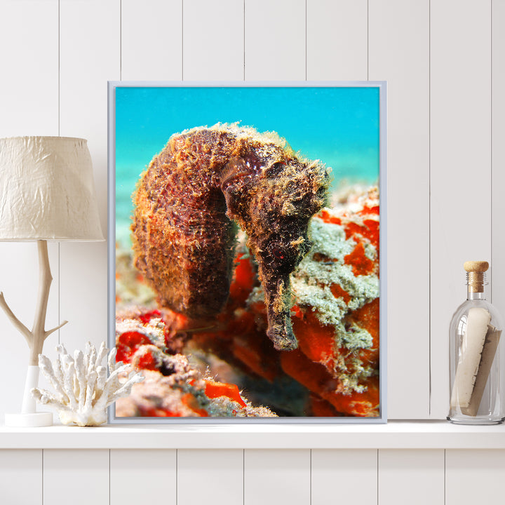 'Seahorse' Framed Canvas Wall Art