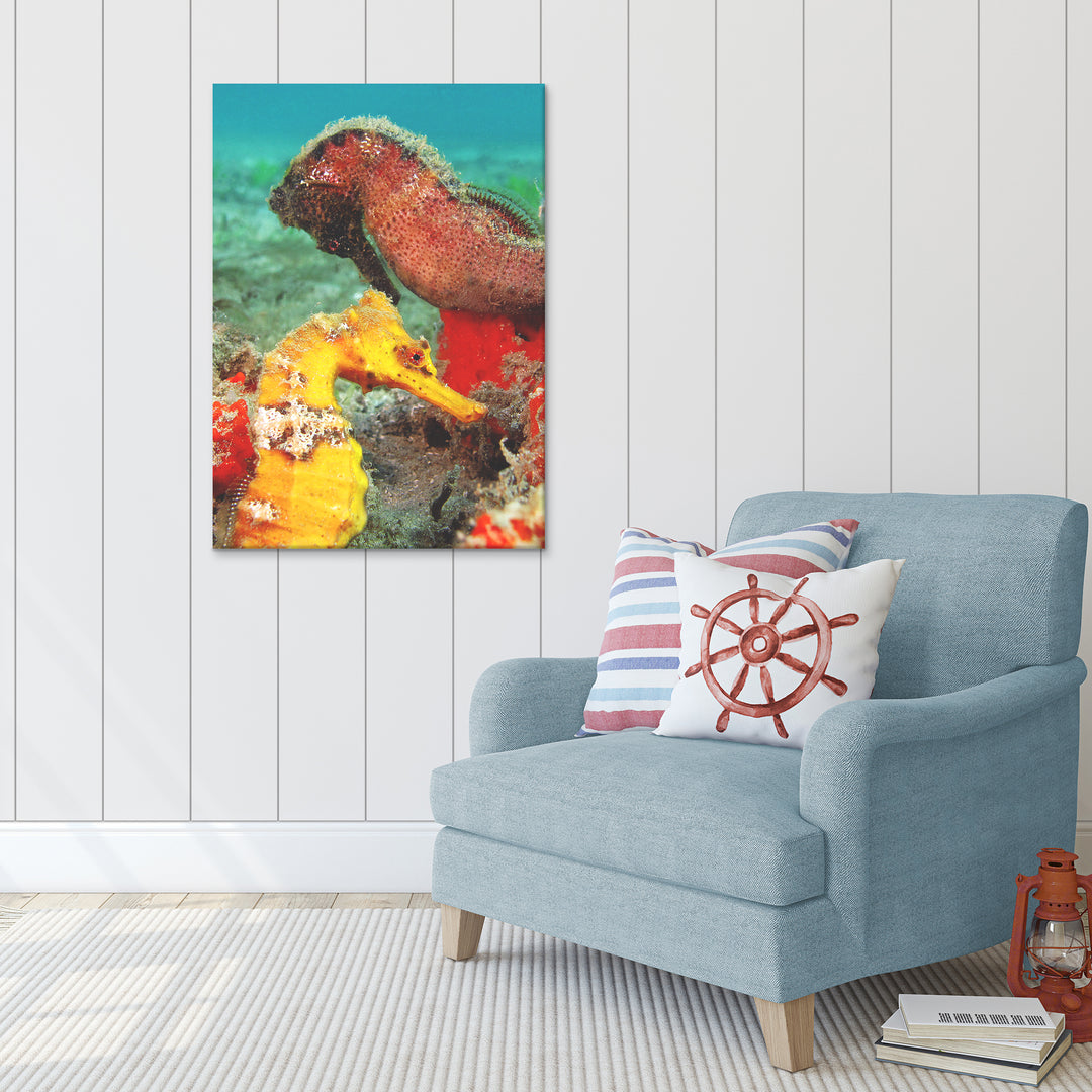 'Seahorse' Wrapped Canvas Wall Art