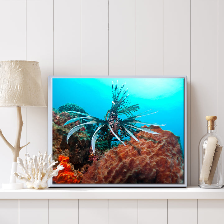 'Underwater' Framed Canvas Wall Art