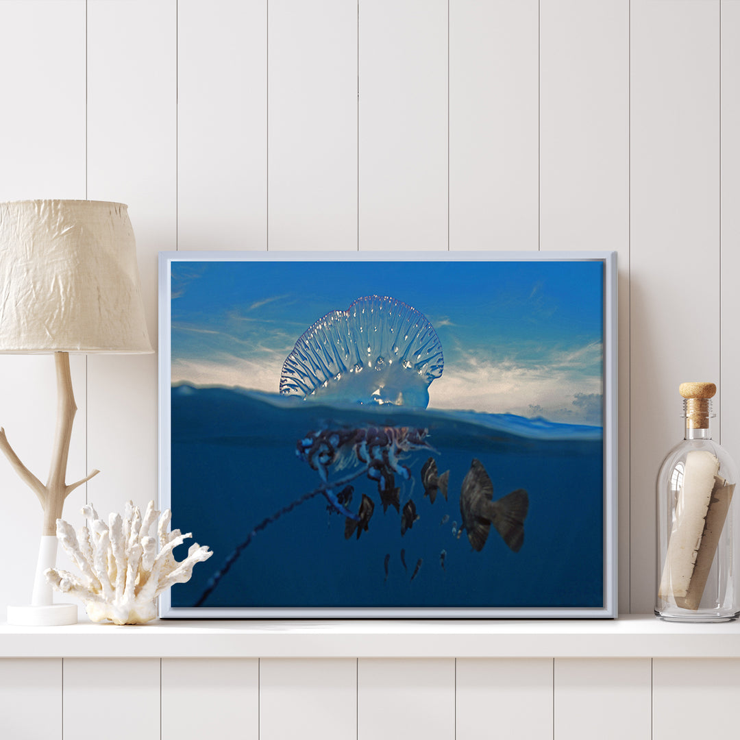 'Jellyfish' Framed Canvas Wall Art