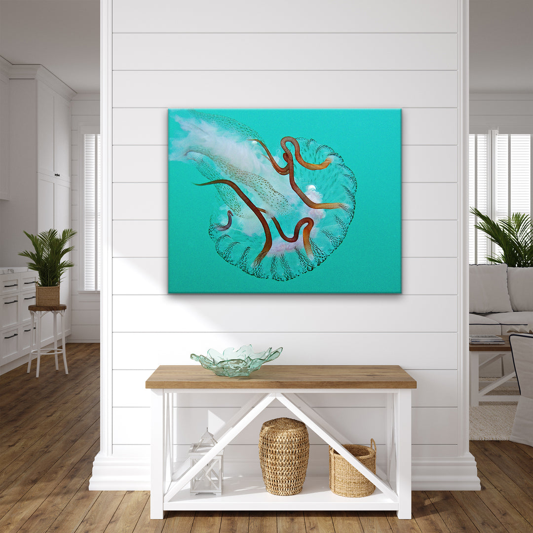 'Jelly Fish' Wrapped Canvas Wall Art
