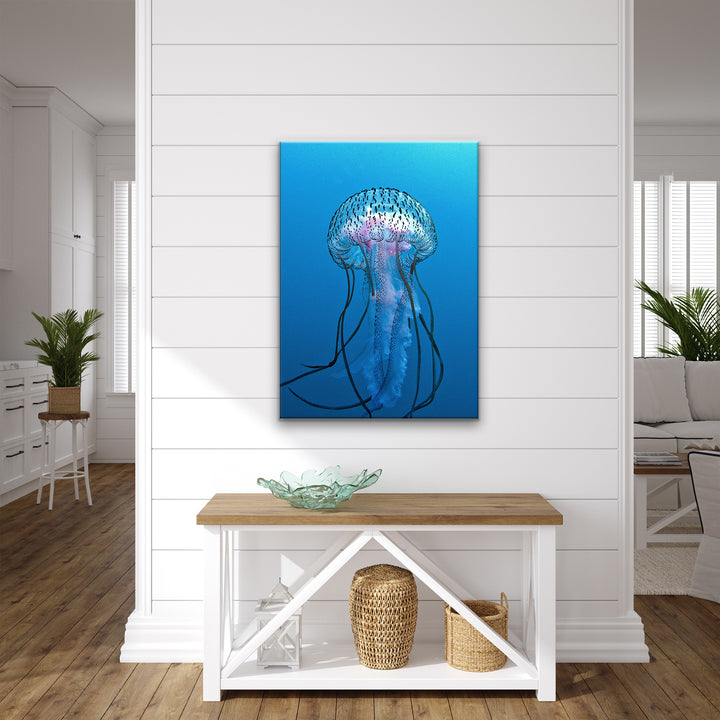 'Jelly Fish' Wrapped Canvas Wall Art