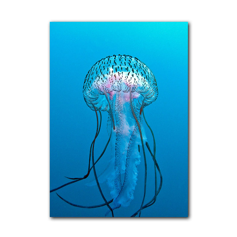 'Jelly Fish' Wrapped Canvas Wall Art