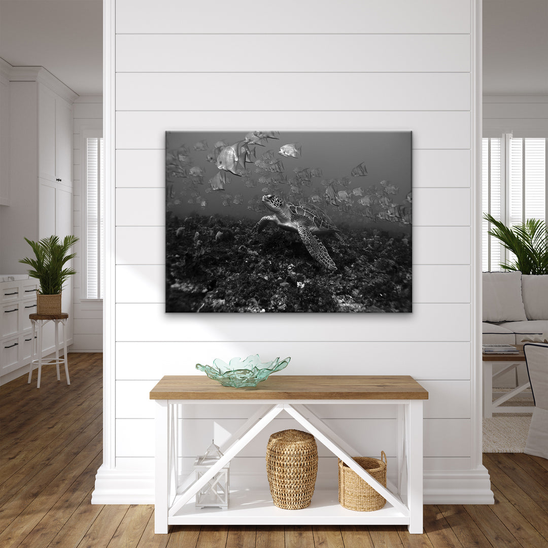 'Turtle' Wrapped Canvas Wall Art