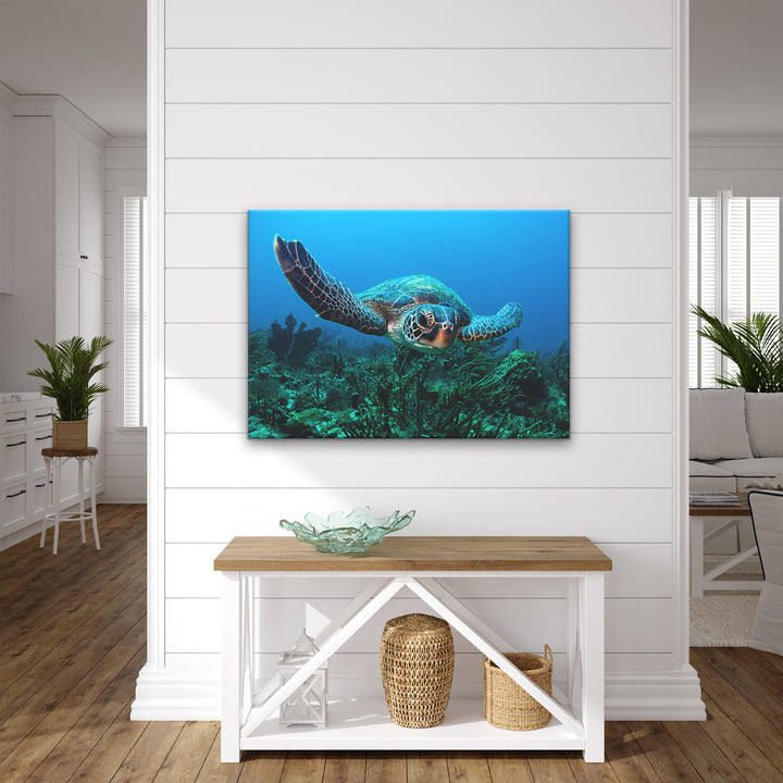 'Turtle' Wrapped Canvas Wall Art