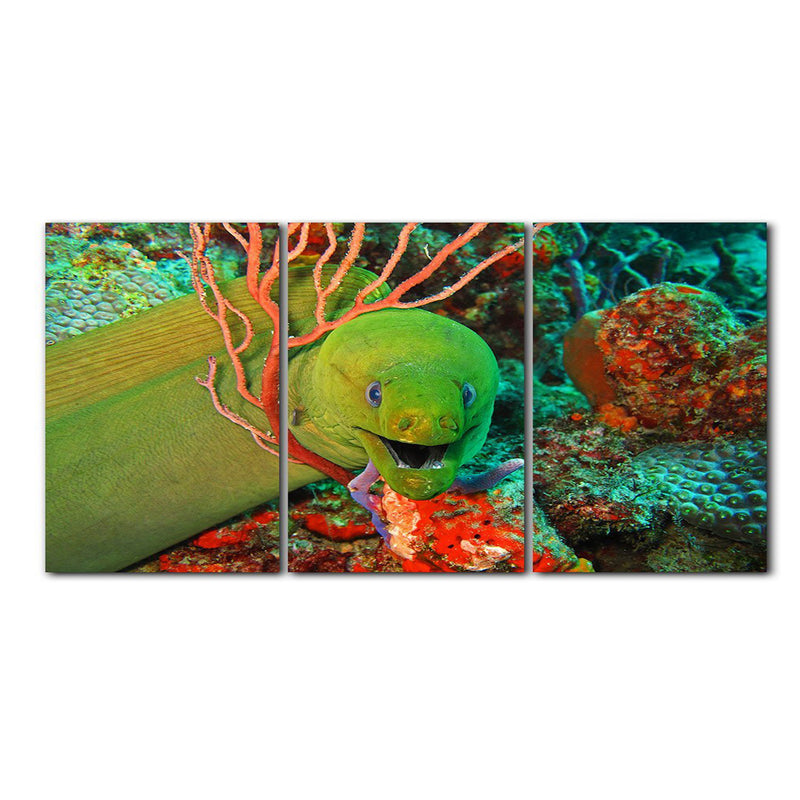 'Eel' 3-Piece Wrapped Canvas Wall Art Set