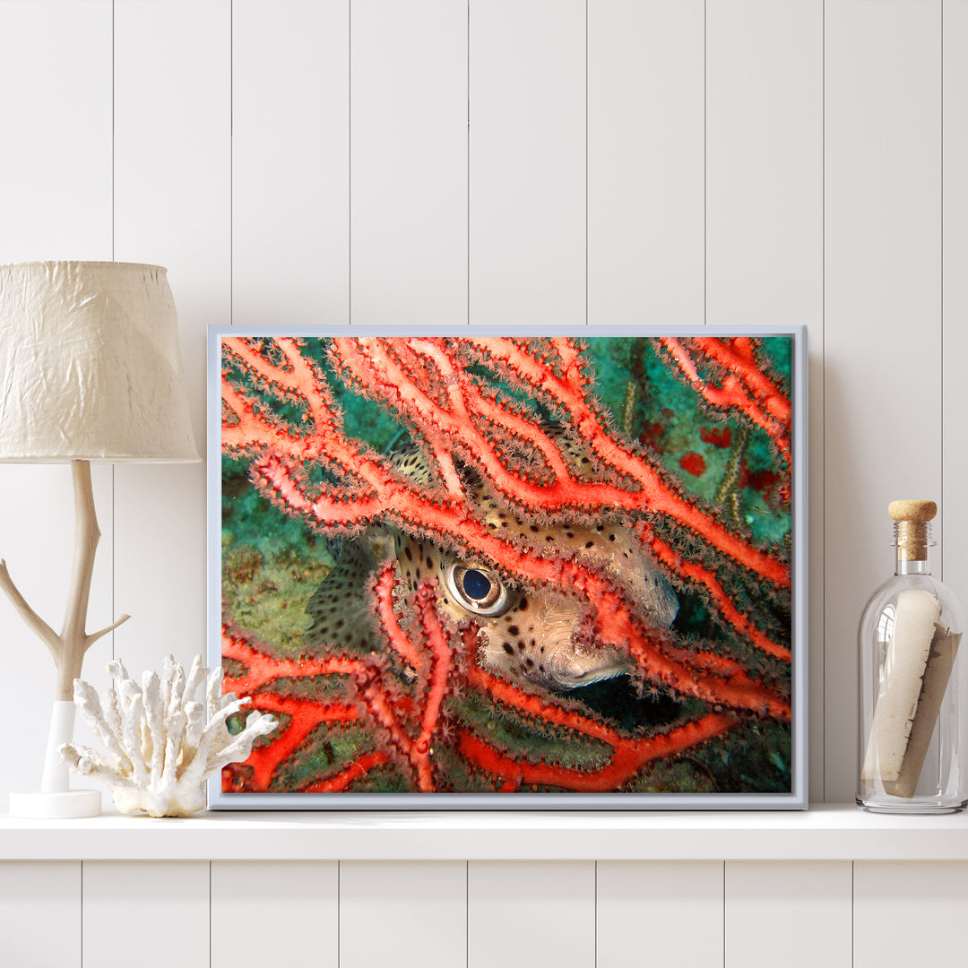 'Underwater' Framed Canvas Wall Art