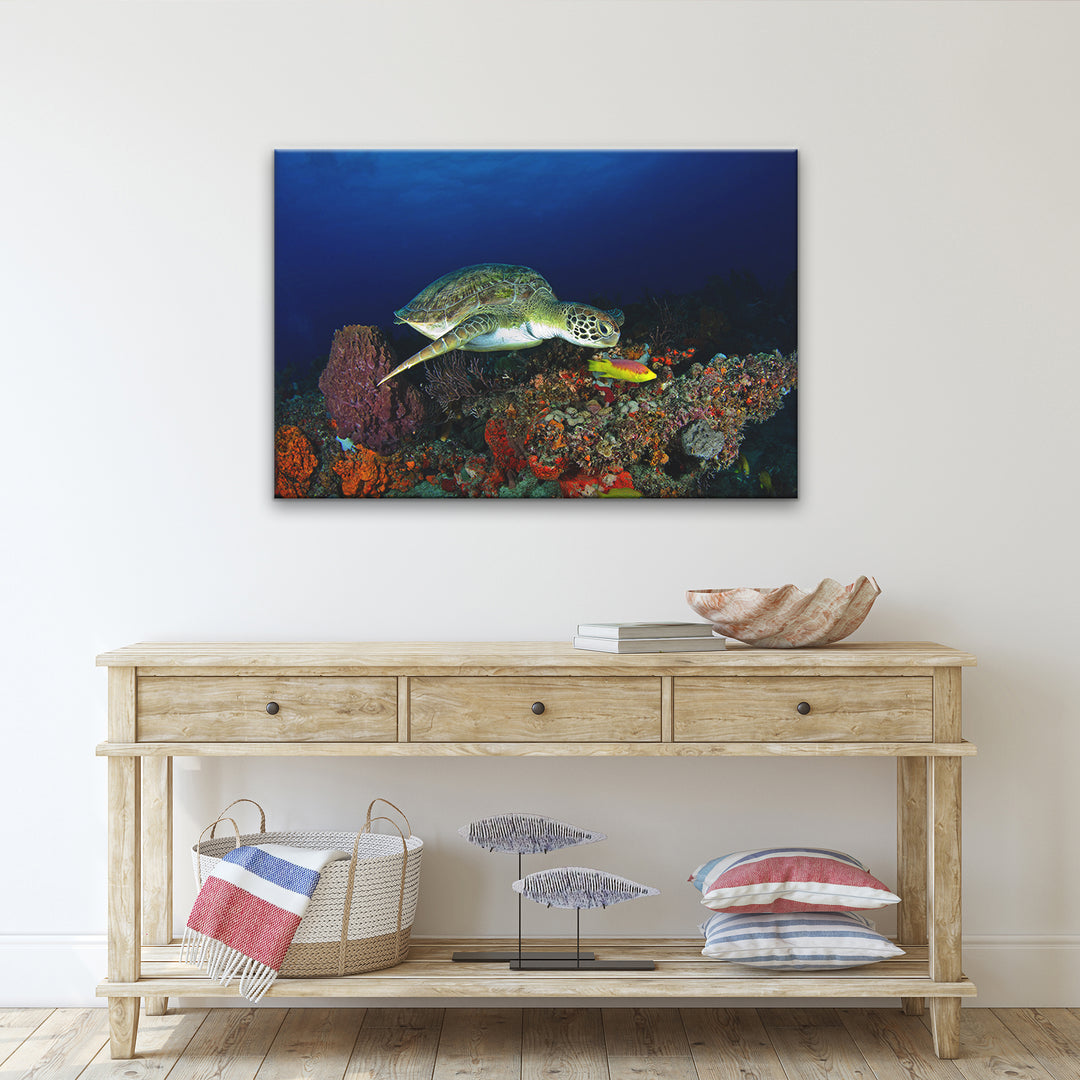 'Turtle' Wrapped Canvas Wall Art