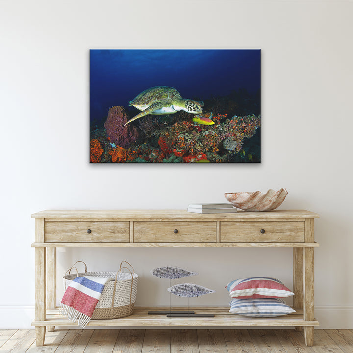 'Turtle' Wrapped Canvas Wall Art