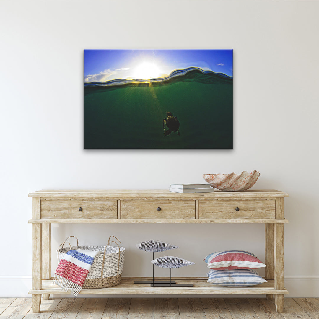 'Turtle Green Splitch Hatch' Wrapped Canvas Wall Art
