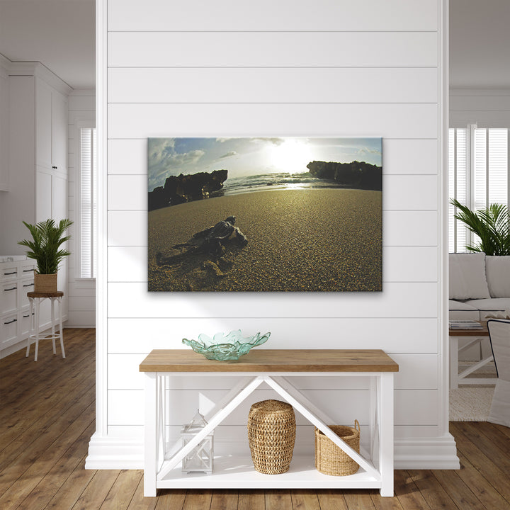 'Turtle' Wrapped Canvas Wall Art