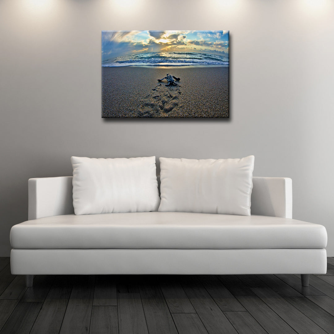Turtle' ArtPlexi by Ready2HangArt