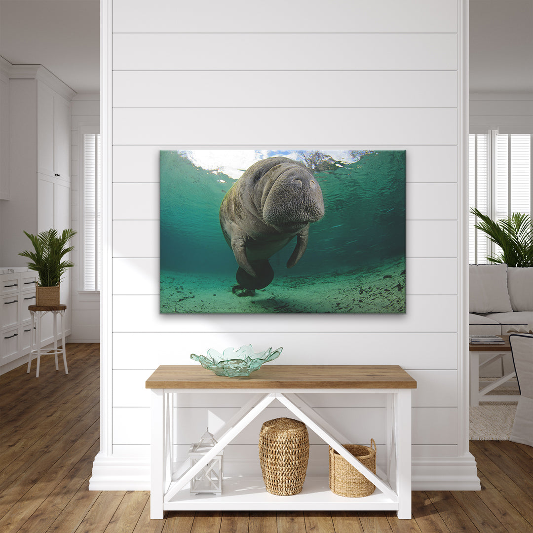 'Manatee Hug' Wrapped Canvas Wall Art