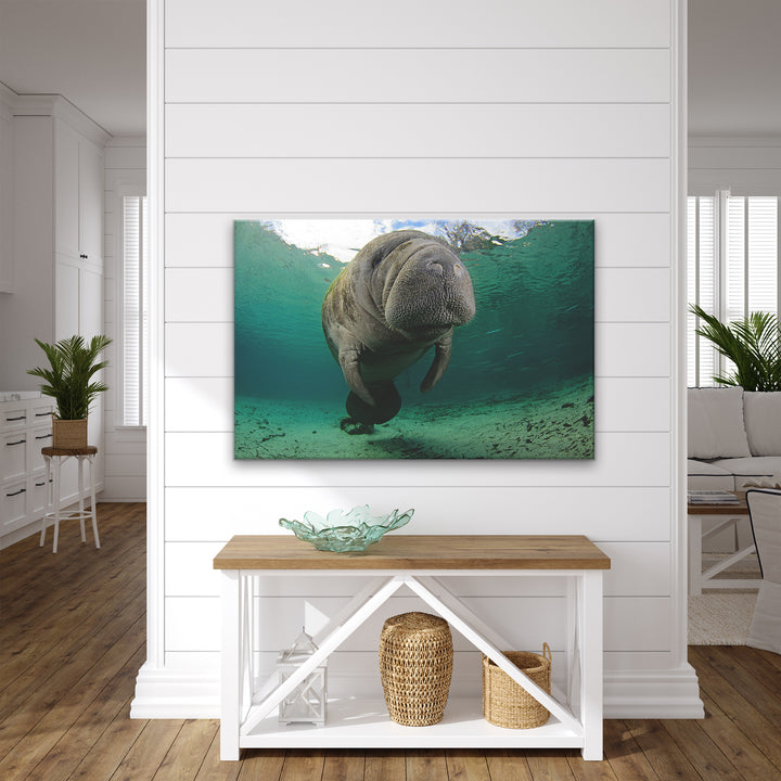 'Manatee Hug' Wrapped Canvas Wall Art